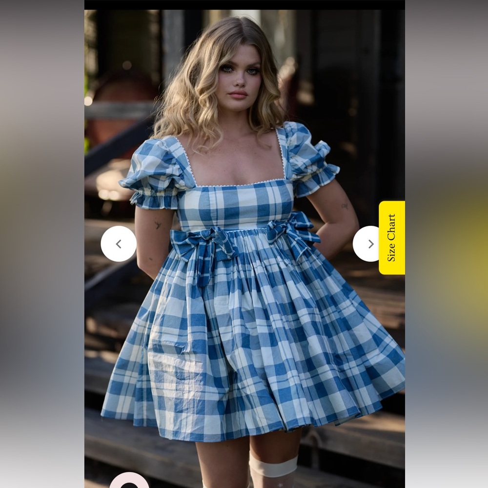 selkie the tea towel mini love story dress NWT Blue Plaid